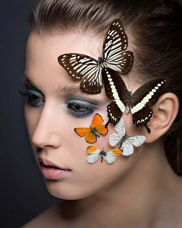 Okładka galerii zdjęć kategorii Portfolio komercyjne